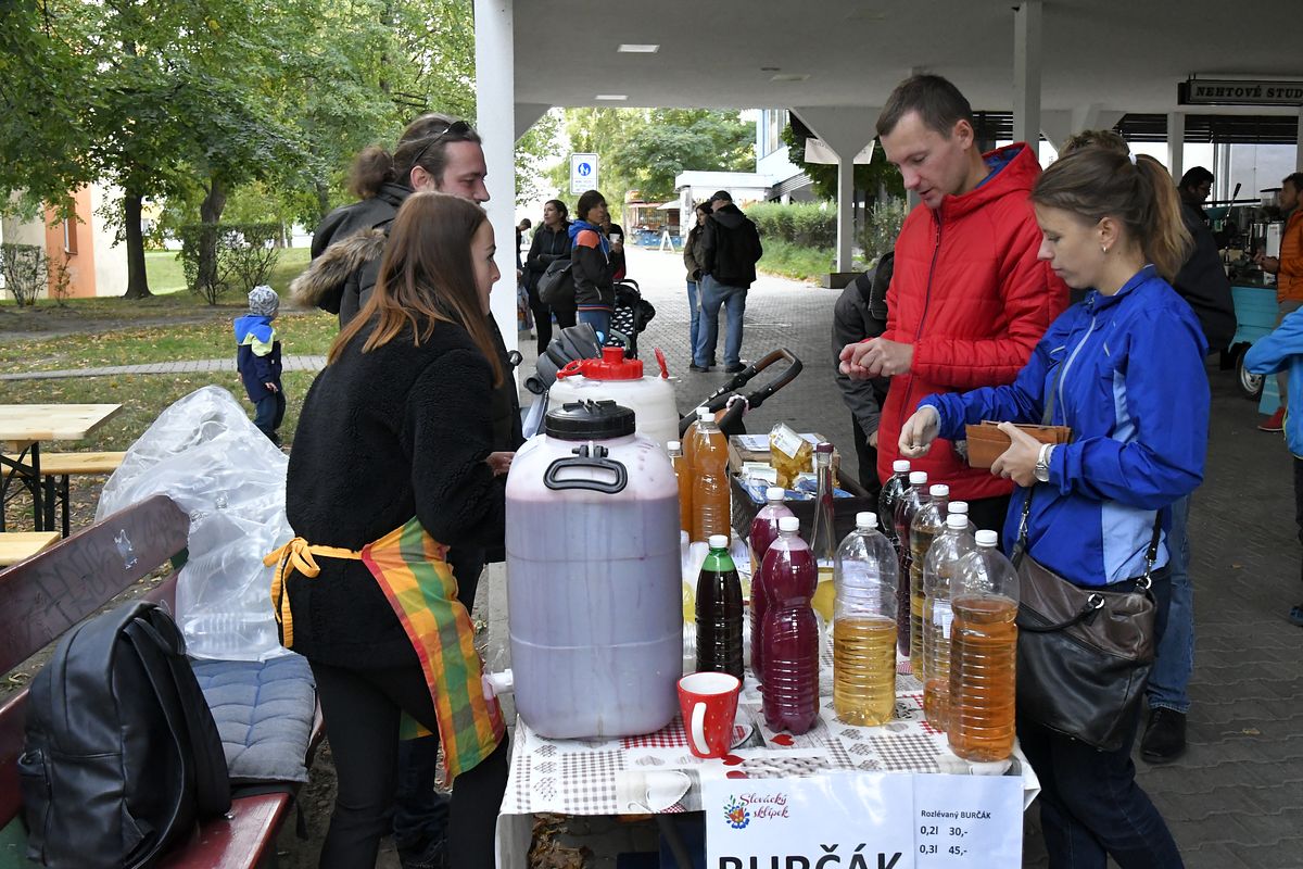 ZMJ 2019 – Modrý pavilon  026.JPG