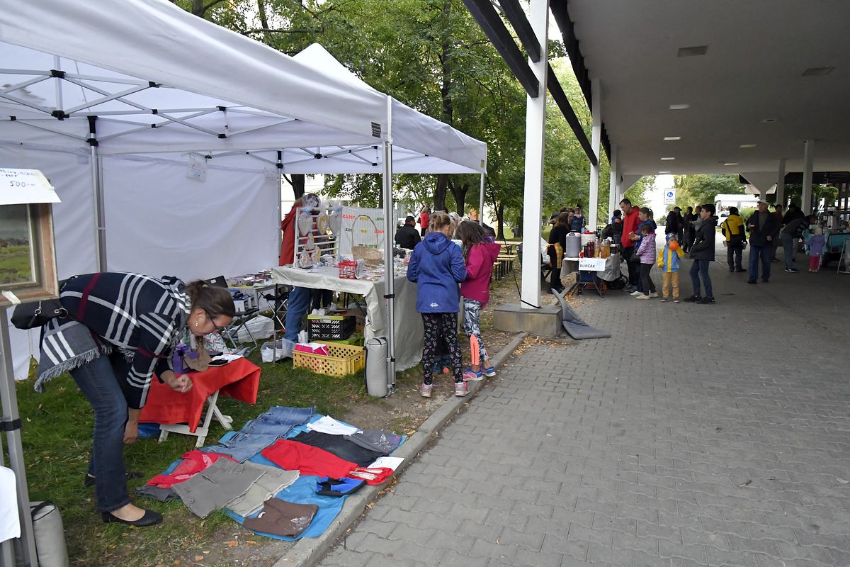 ZMJ 2019 – Modrý pavilon  027.JPG