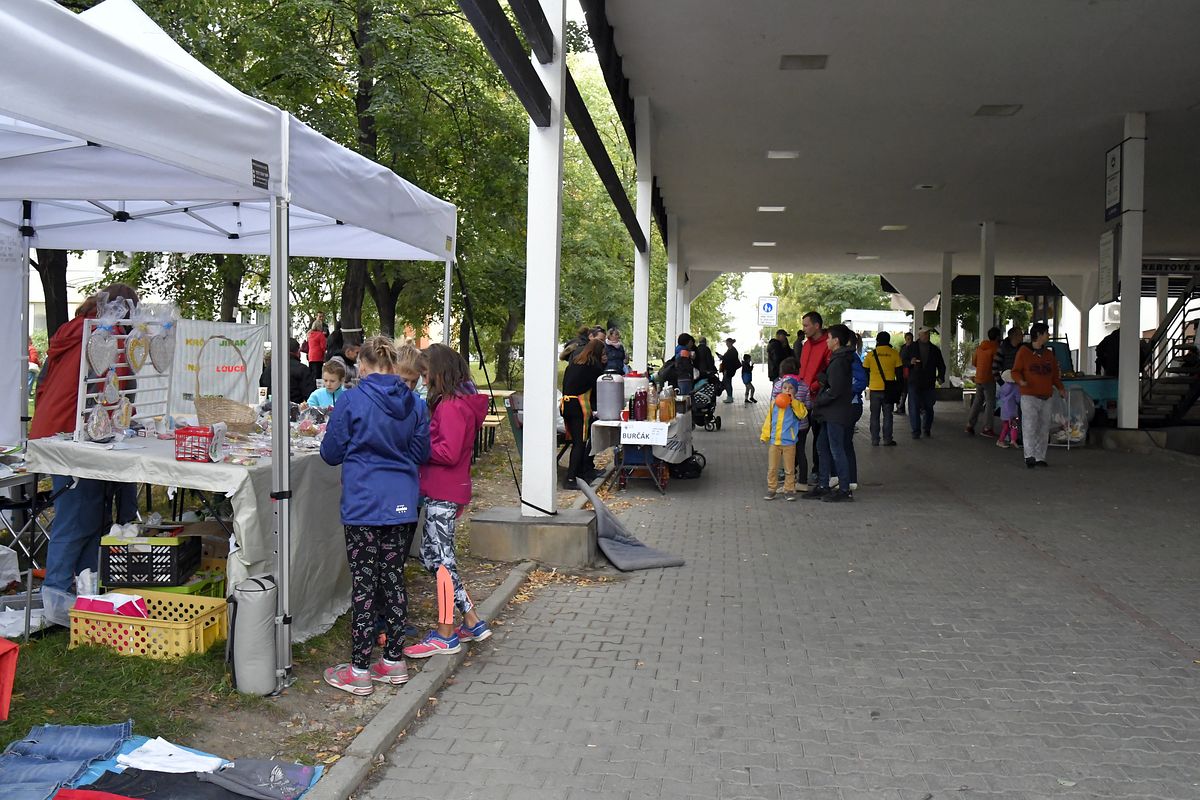 ZMJ 2019 – Modrý pavilon  028.JPG