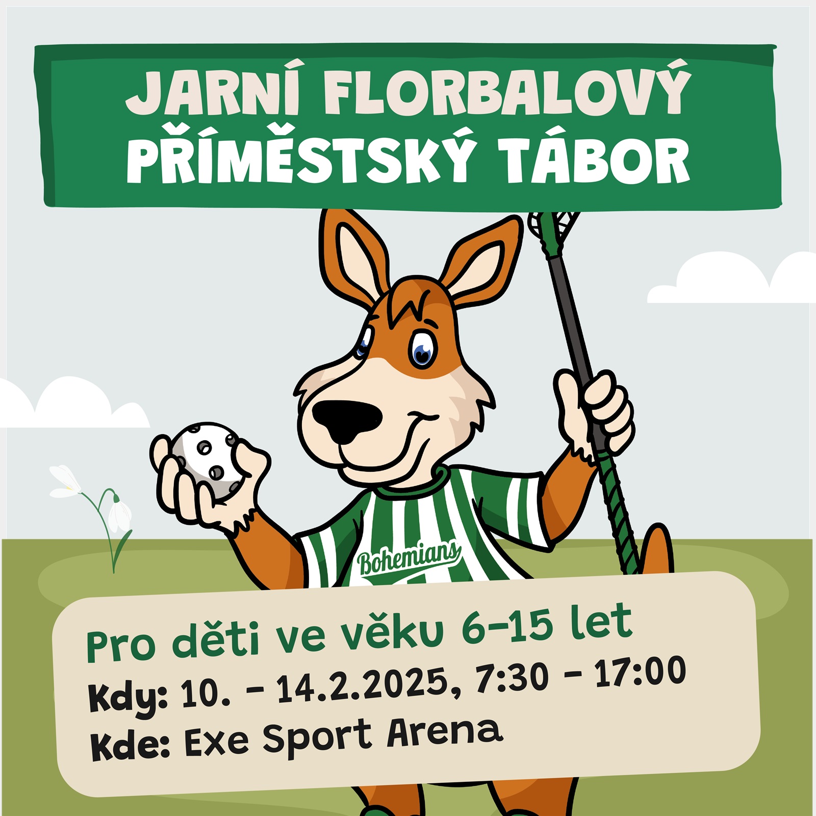 JARNÍ_element_kempy_socky_florbal-02 (1).png