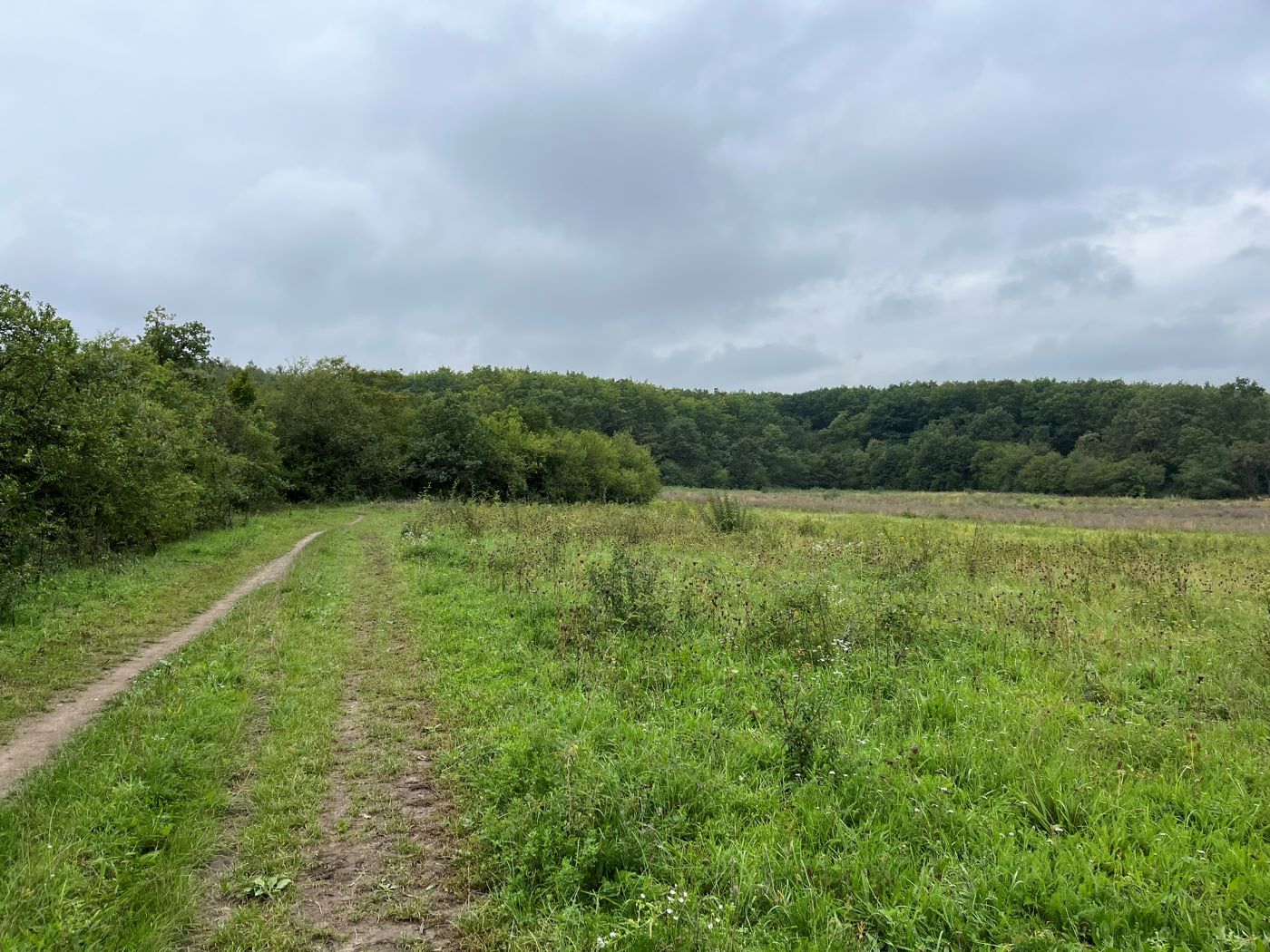 Velký Háj komunitní zahrada 2