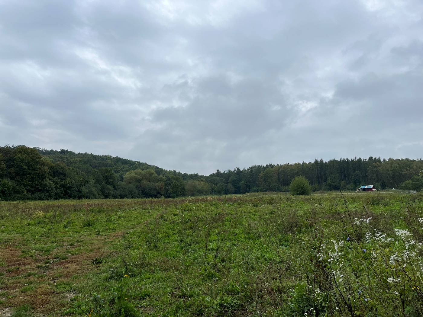 Velký Háj komunitní zahrada