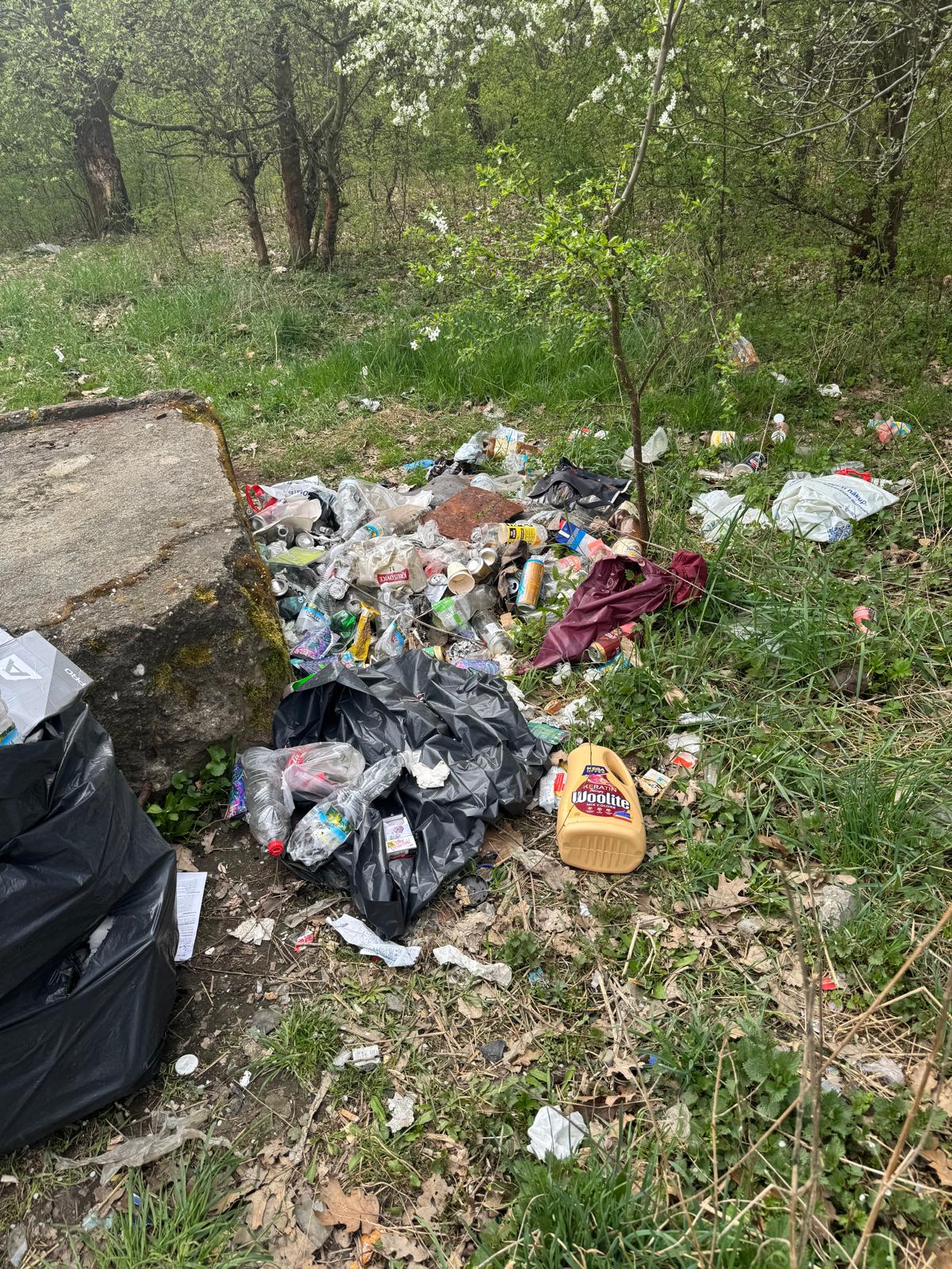 velký háj úklid duben 2025 12