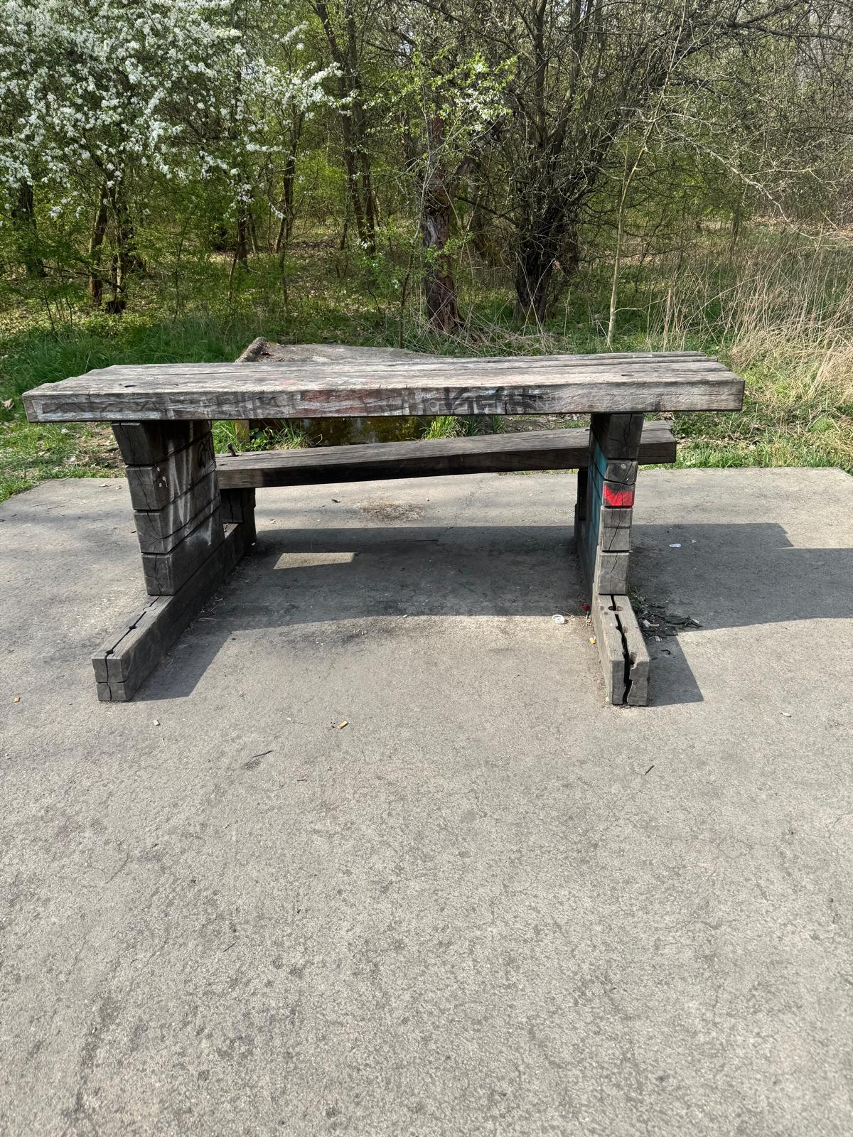 velký háj úklid duben 2025 14