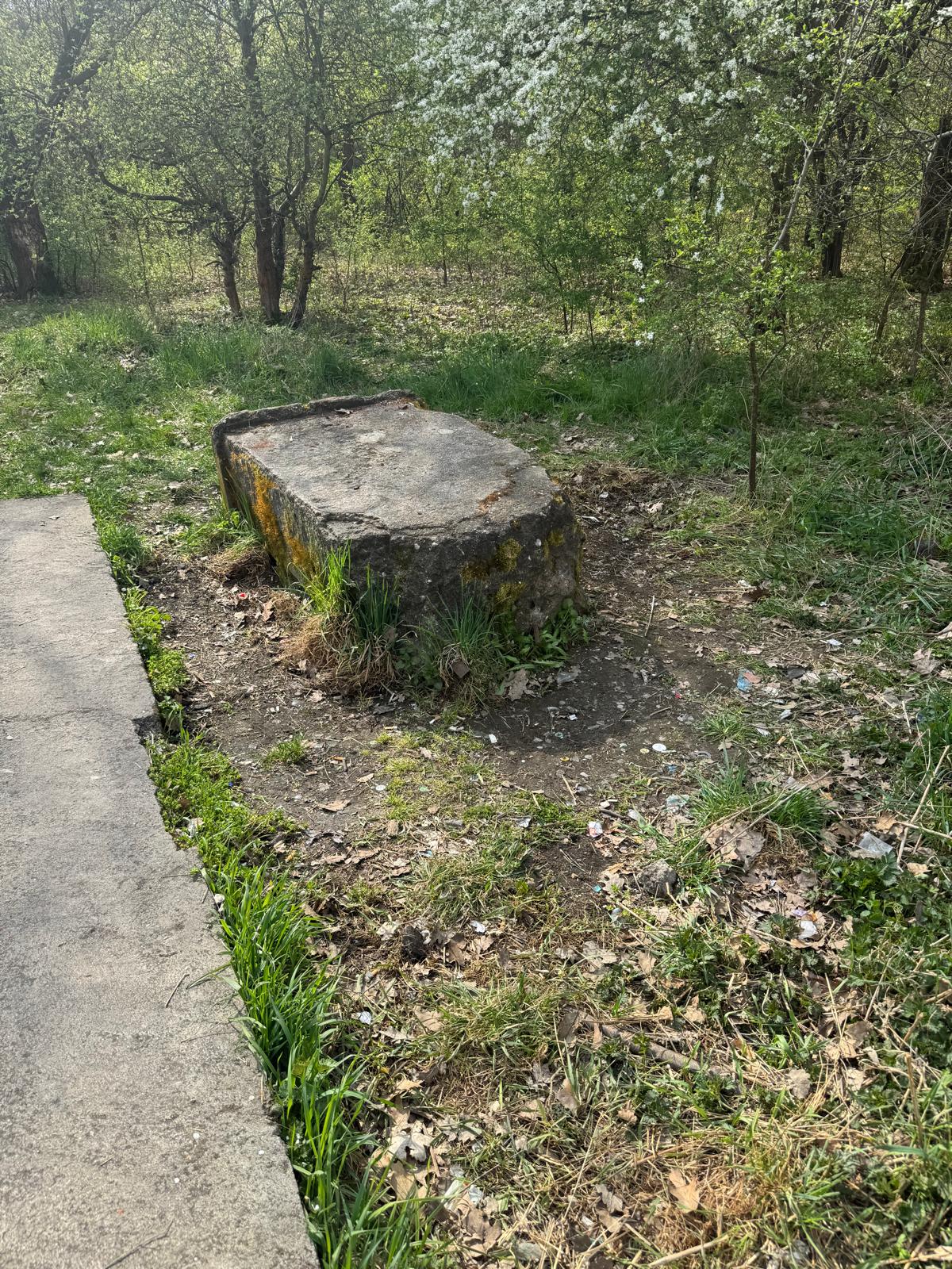 velký háj úklid duben 2025 15