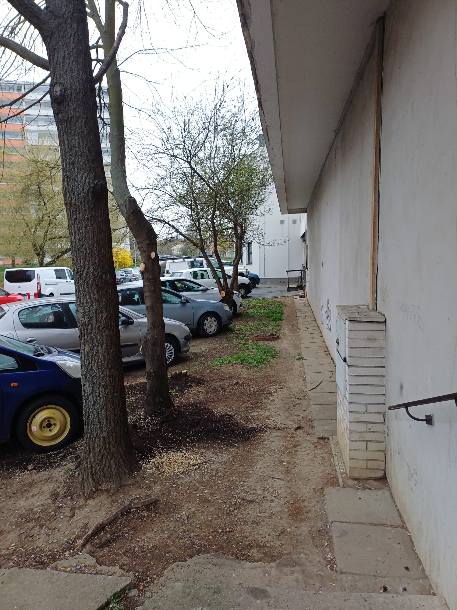 velký háj úklid duben 2025 16