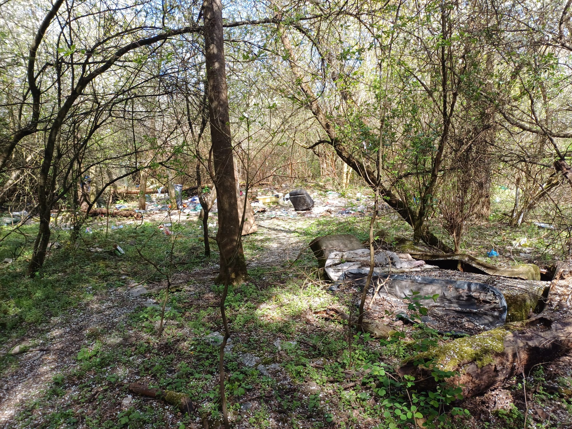 velký háj úklid duben 2025 4