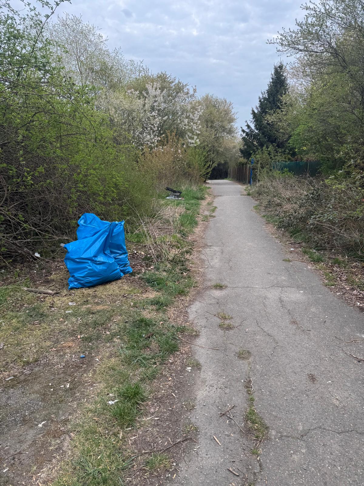 velký háj úklid duben 2025 5